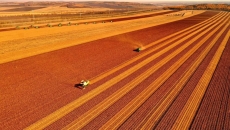 BOB�������ߡ�(�й�)����