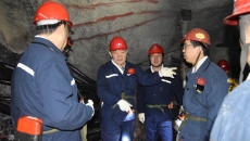 BOB�������ߡ�(�й�)����