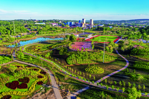 BOB�������ߡ�(�й�)����