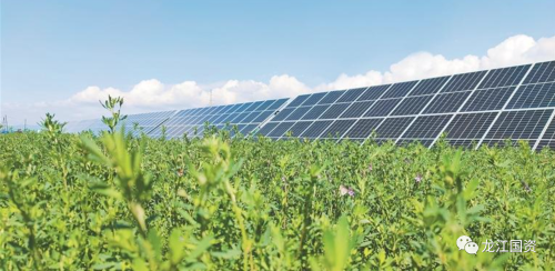 ΢��ͼƬ_20231016204639