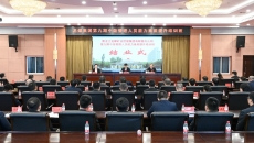 BOB�������ߡ�(�й�)����