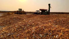 BOB�������ߡ�(�й�)����