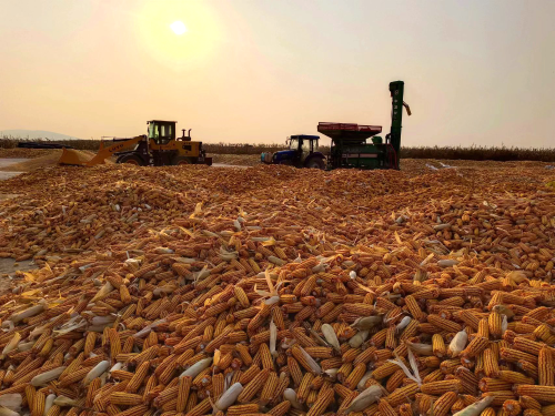 ΢��ͼƬ_20231028192816