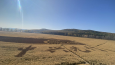 BOB�������ߡ�(�й�)����