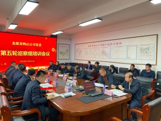 10.31������Ѳ����