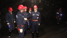 BOB�������ߡ�(�й�)����