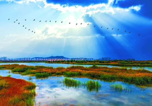 ΢��ͼƬ_20231228211712