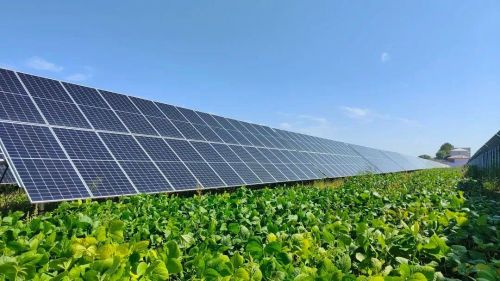 ΢��ͼƬ_20240309005121