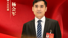 BOB�������ߡ�(�й�)����