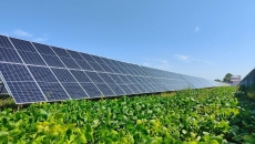 BOB�������ߡ�(�й�)����