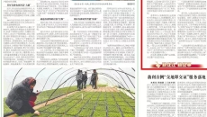 BOB�������ߡ�(�й�)����