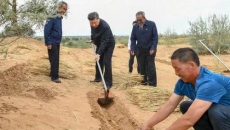 BOB�������ߡ�(�й�)����