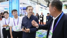 BOB�������ߡ�(�й�)����