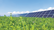 BOB�������ߡ�(�й�)����