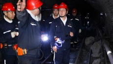 BOB�������ߡ�(�й�)����