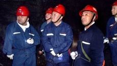 BOB�������ߡ�(�й�)����