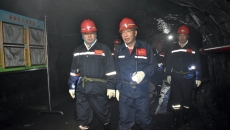 BOB�������ߡ�(�й�)����