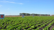 BOB�������ߡ�(�й�)����