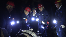 BOB�������ߡ�(�й�)����