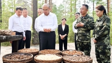 BOB�������ߡ�(�й�)����