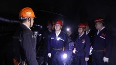 BOB�������ߡ�(�й�)����