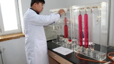 BOB�������ߡ�(�й�)����