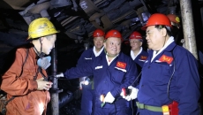 BOB�������ߡ�(�й�)����