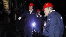 BOB�������ߡ�(�й�)����