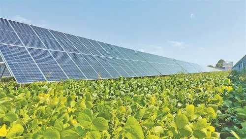 ΢��ͼƬ_20241021081437