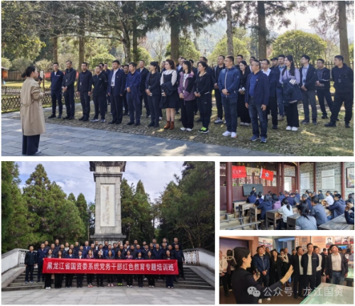 ΢��ͼƬ_20241104200851