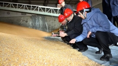 BOB�������ߡ�(�й�)����