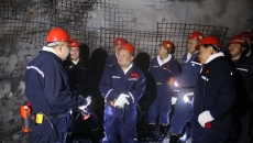 BOB�������ߡ�(�й�)����