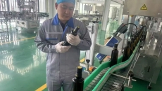 BOB�������ߡ�(�й�)����