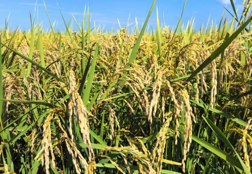 ΢��ͼƬ_2025-09-14_200437_462