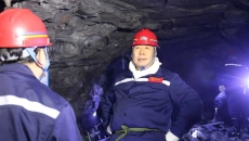 BOB�������ߡ�(�й�)����