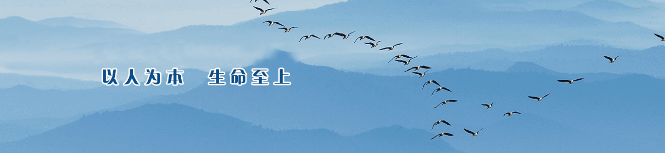 BOB�������ߡ�(�й�)����